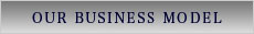 business model